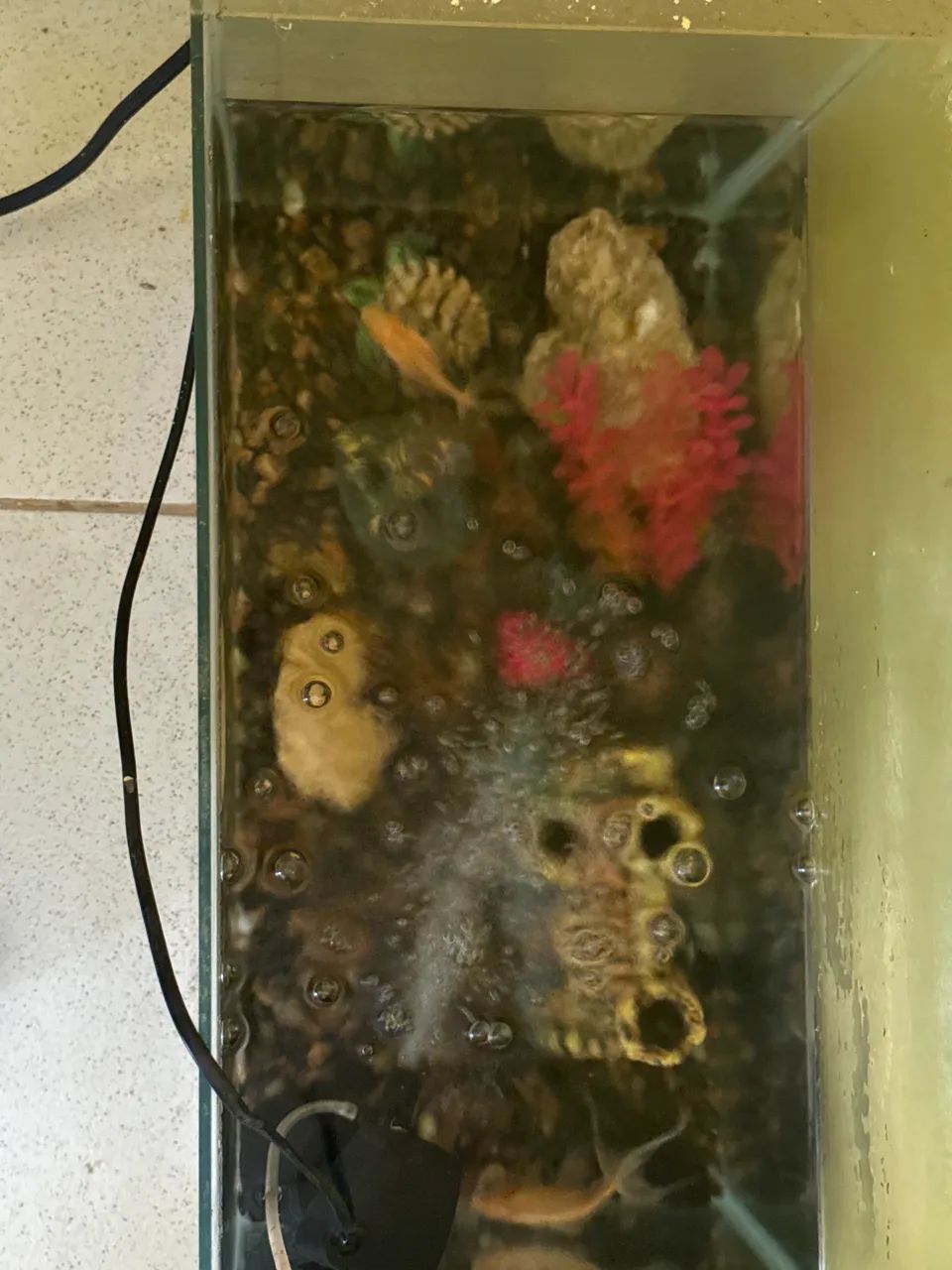 Vendo Aquário  - Foto 3