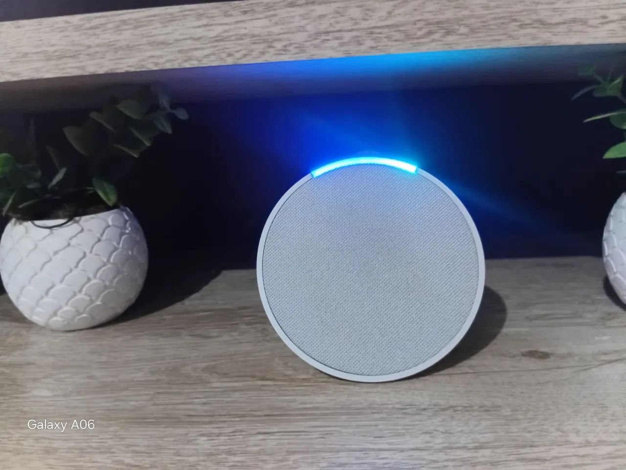 Alexa e. pop