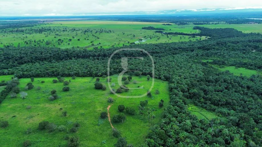FAZENDA ARIZONA - Foto 5