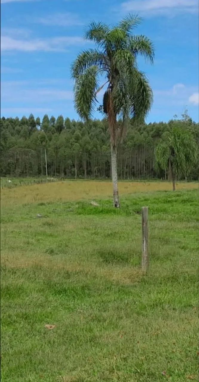 Sitio com açude e galpão - Foto 2