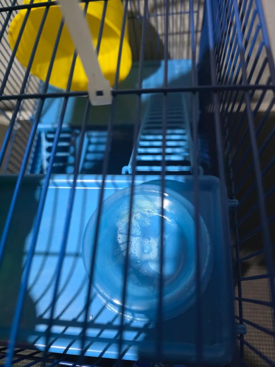 Gaiola Hamster - Foto 5