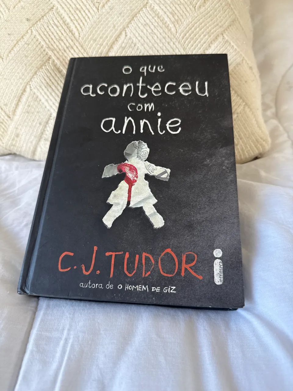 Livro " O que aconteceu com Annie"