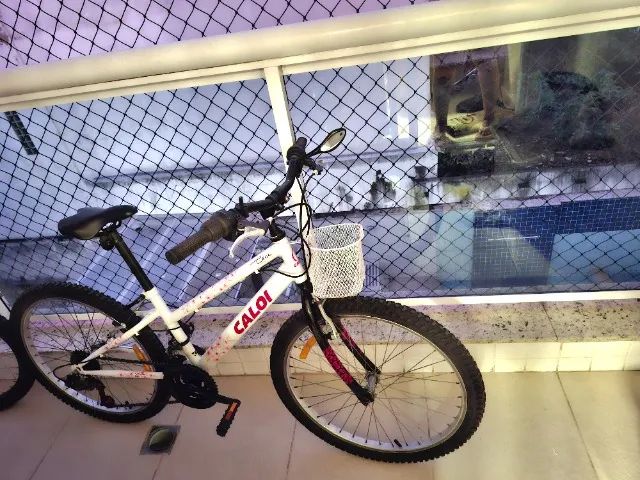 Bicicleta Caloi Ceci Aro 24