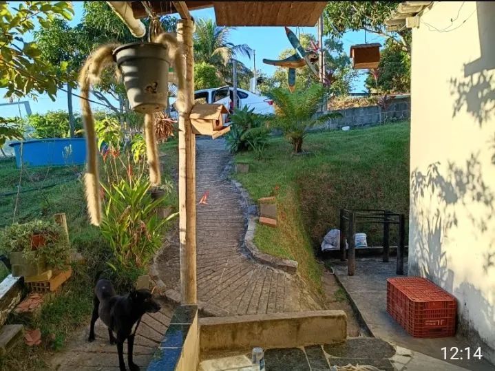 Sítio em vilagio do sol  - Foto 2
