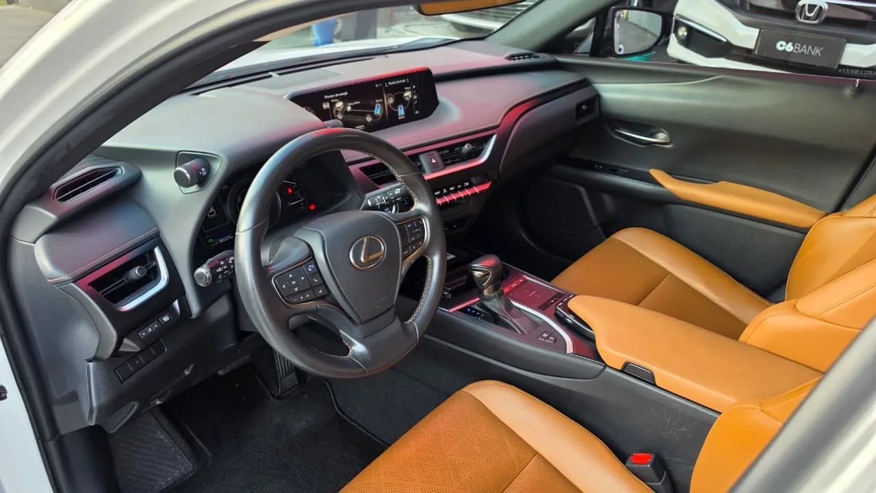 Lexus UX-250h Luxury 2.0 16V Aut.(hybrid), foto 6 de 8