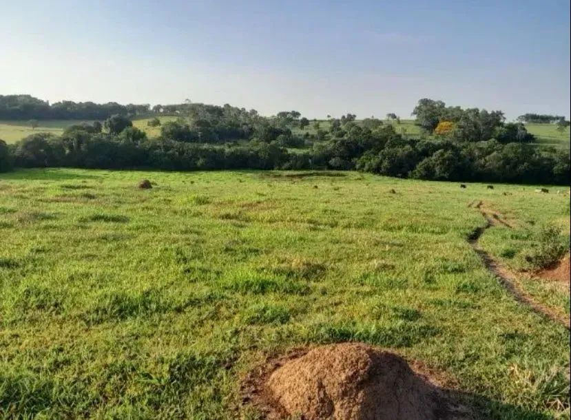 Sítio de 3,3 Alqueires  em Conchas-SP - Foto 2