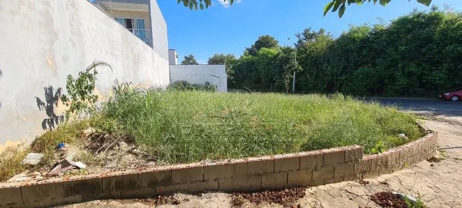 TERRENO JARDIM SANTA MARTA - Foto 3