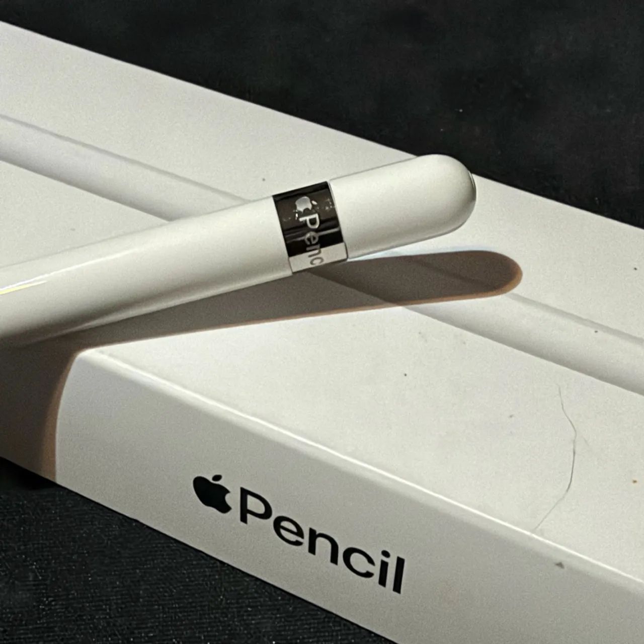 Apple Pencil 1 Impecável 