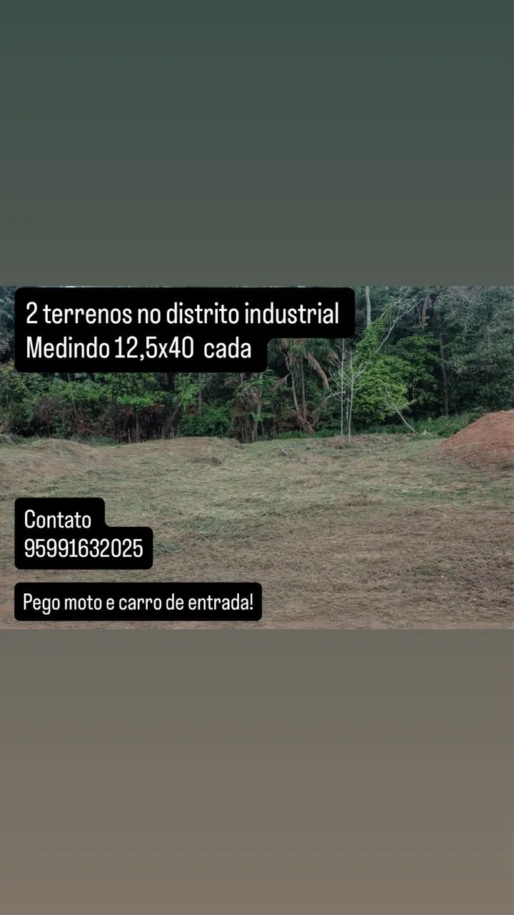 Foto - Boa Vista - Cinturão Verde