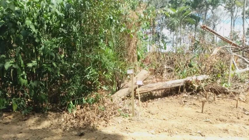 LOTE da Chácara São Raimundo 