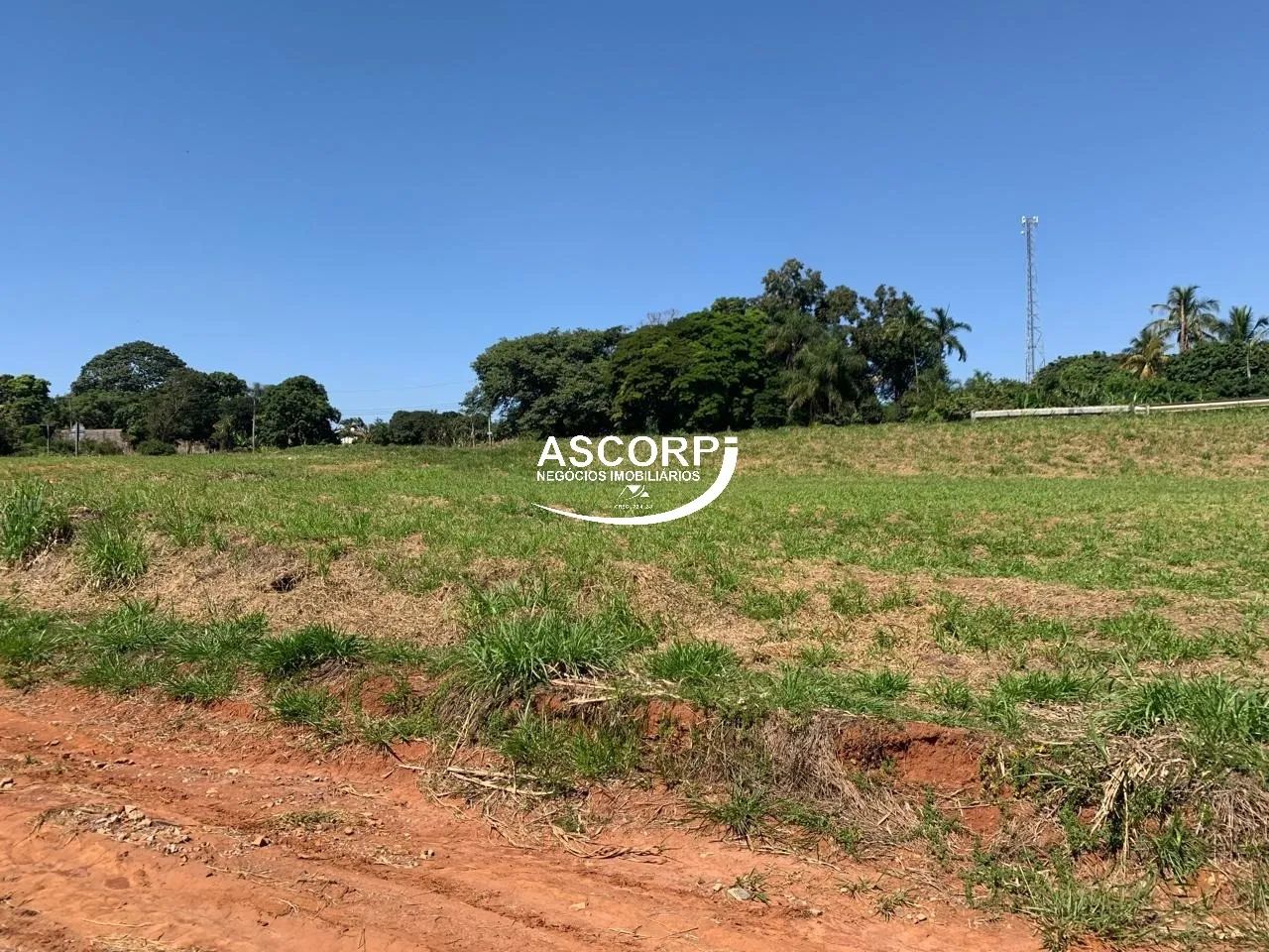 Sitio à venda no bairro Conceição, Piracicaba. - Foto 2
