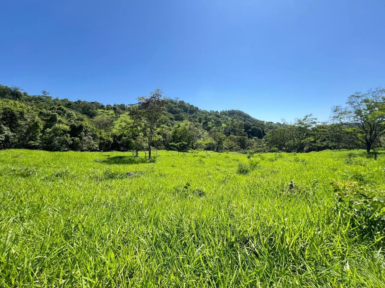 Terreno de 5 mil metros em itaguara  - Foto 4