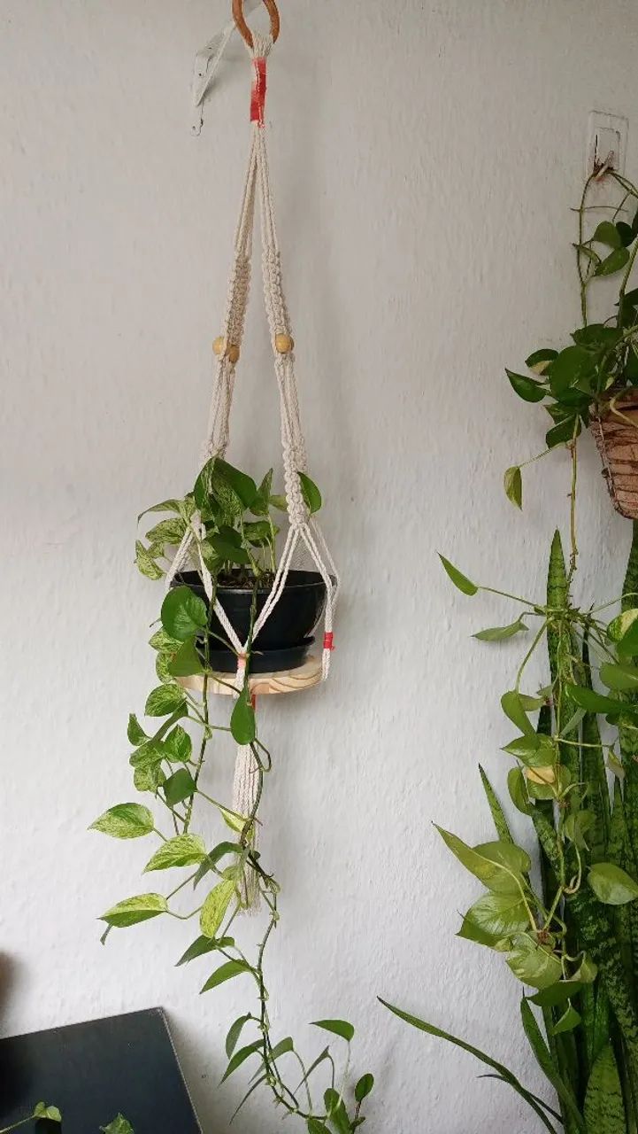 Suporte de plantas macramé - Foto 3