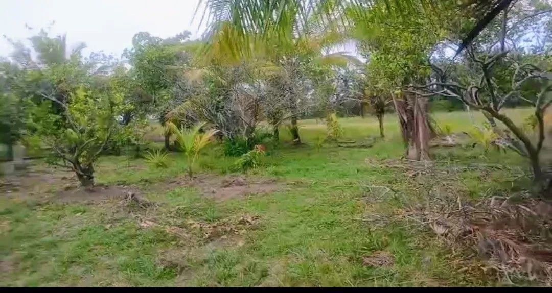 Vendo sítio 800m
