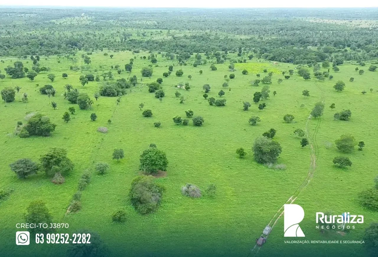 270 HA | 174 HA EM PASTAGENS | ESTRUTURA COMPLETA - Foto 2