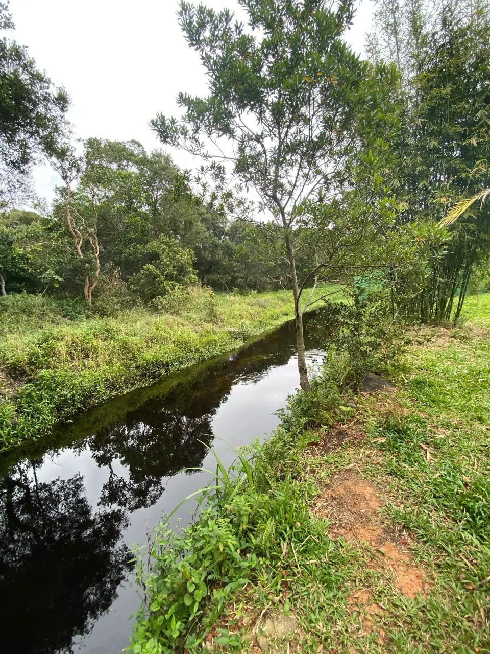 Chácara Rio Vermelho - Foto 2