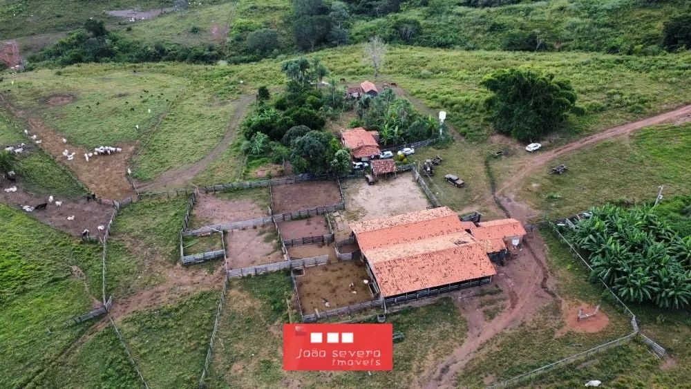 Fazenda para Venda em Campinápolis - Foto 3