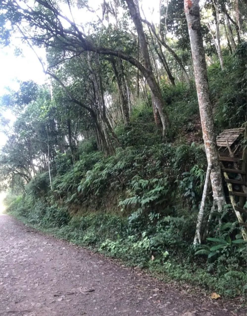 Foto - Ribeirão Pires - Centro