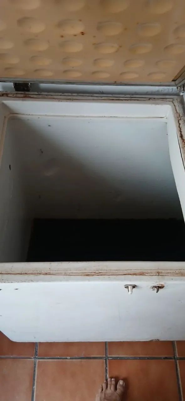 freezer horizontal duas portas  - Foto 2