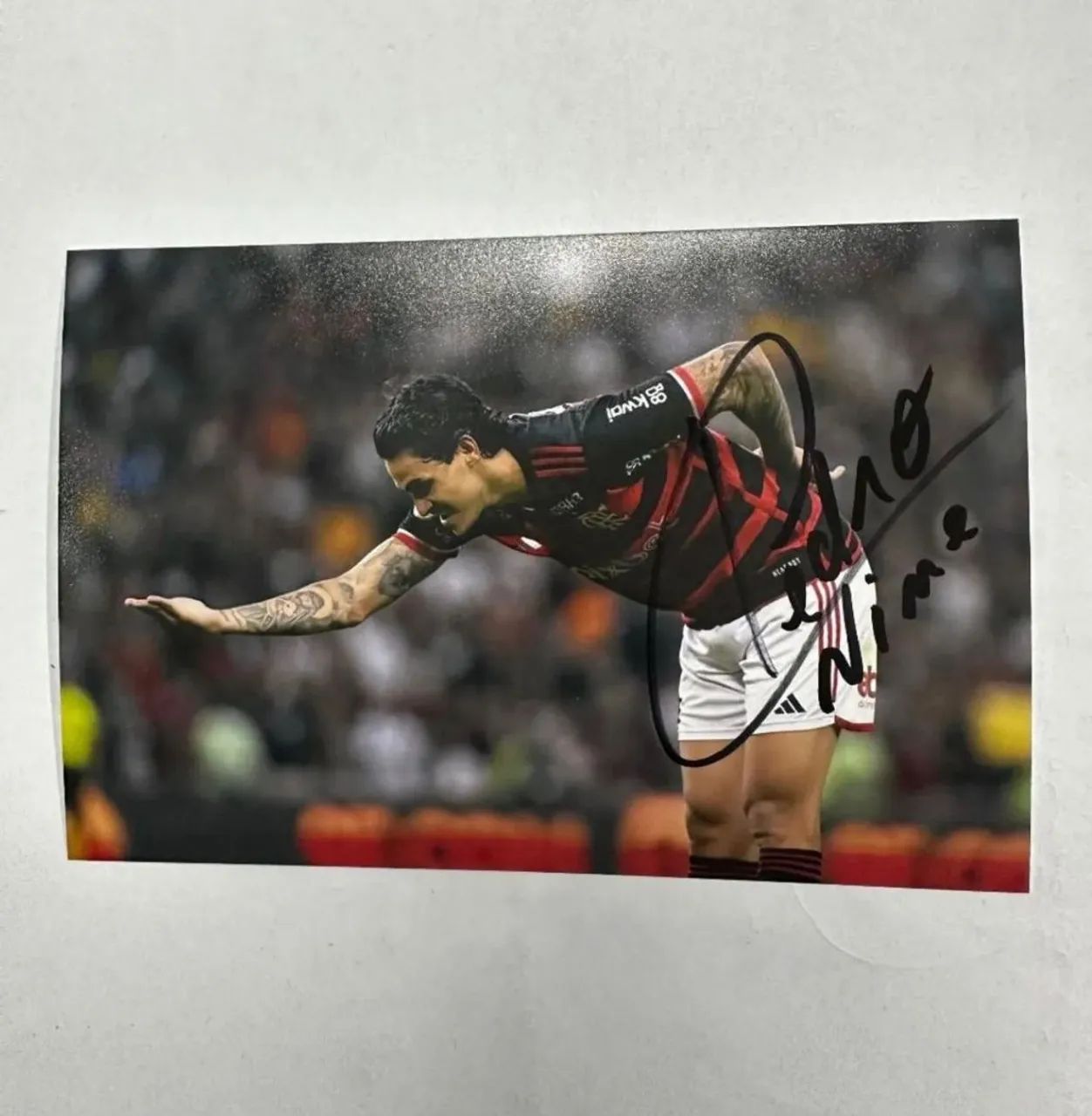 Fotografar flamengo autogragada 