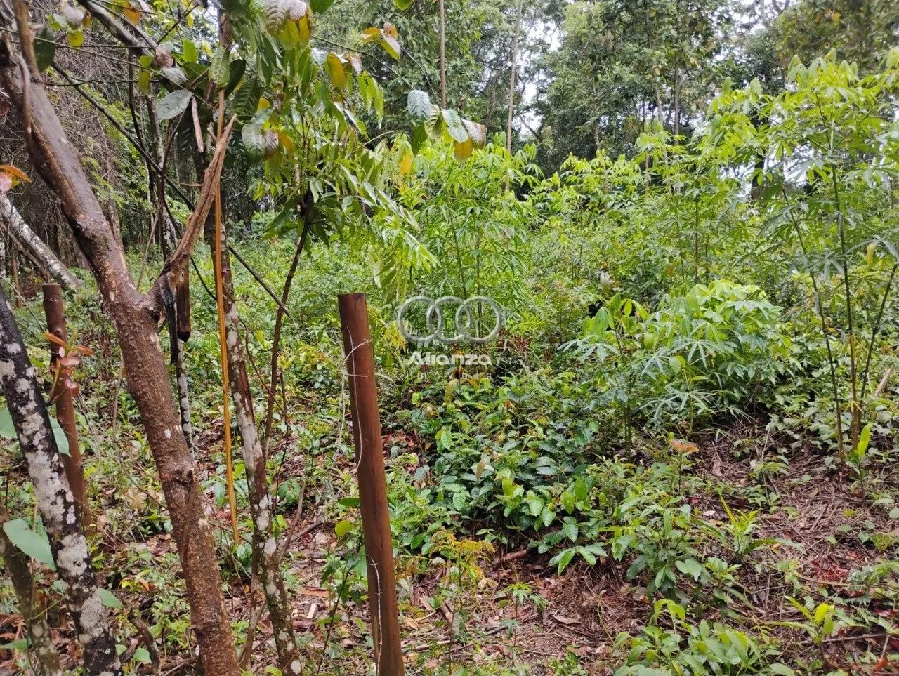Lote à venda - Em Macacos!