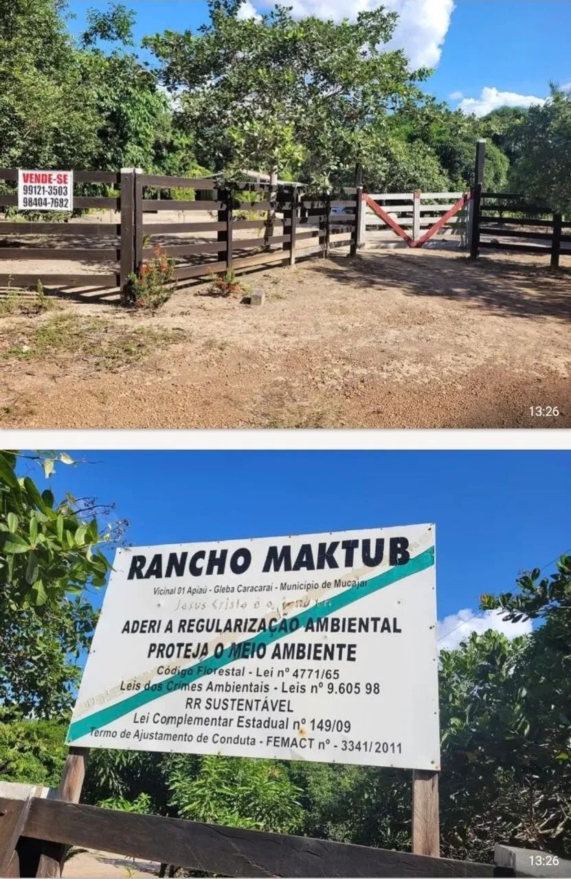 VENDE-SE SÍTIO NA VIC. 1 DO APIAÚ - MUCAJAI  - Foto 5
