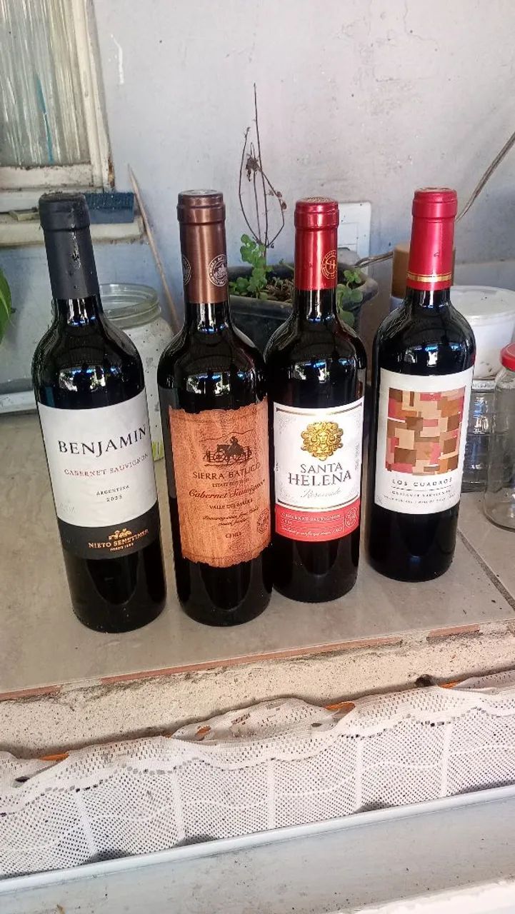 Vinhos Chilenos Seco