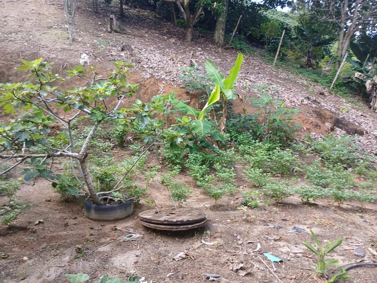 Chácara em Piraí - Foto 4