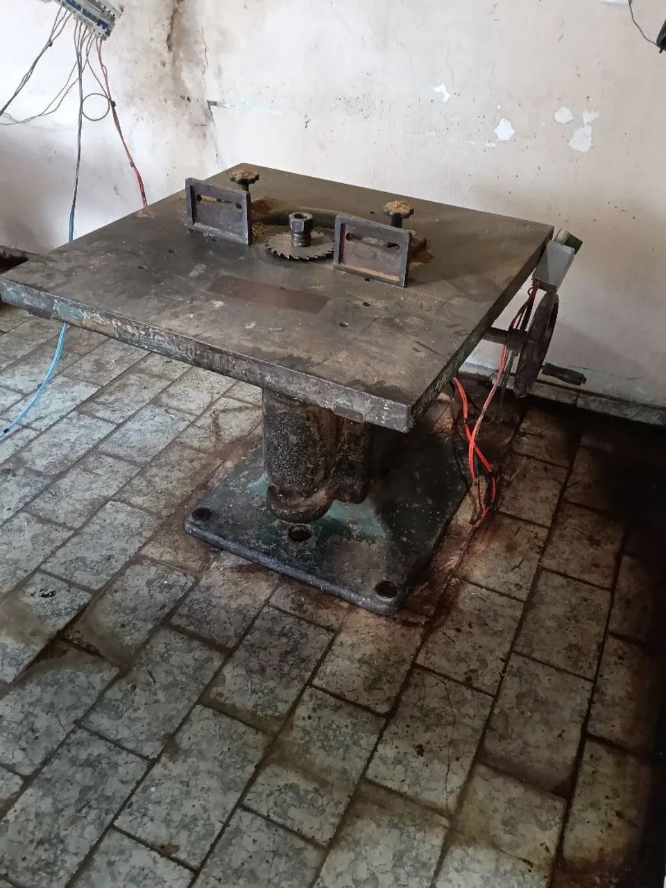 Tupia - Foto 2