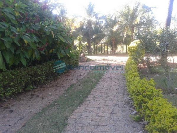 Chácara para alugar em Jequitibá, Paulinia cod:CH00036 - Foto 4