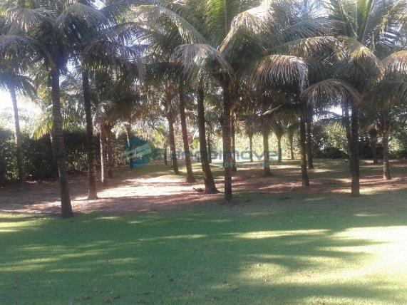 Chácara para alugar em Jequitibá, Paulinia cod:CH00036 - Foto 6