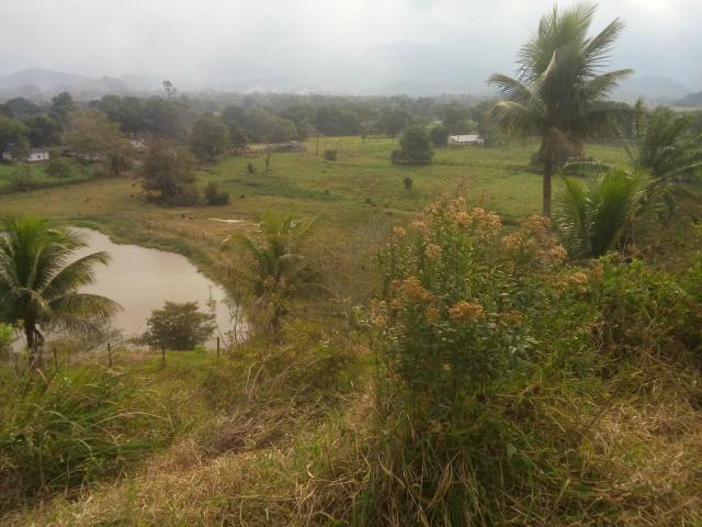 Linda fazenda em Cachoeiras de Macacu 20 alqueires oportunidade!!!! - Foto 20