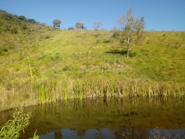 Fazenda 97 Alqs Na Região do Vale do Paraíba SP Negocio de oportunidade - Leia o anúncio - Foto 16