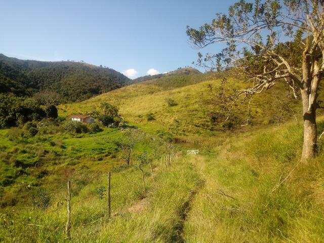 Fazenda 97 Alqs Na Região do Vale do Paraíba SP Negocio de oportunidade - Leia o anúncio - Foto 19