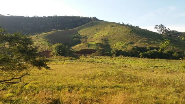 Sitio Taubaté 2,48 Alqs.ótima topografia só terra á 3 km da Rodovia Osvaldo cruz - Leia - Foto 5