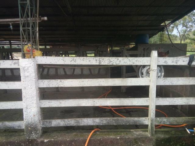 Linda fazenda em Cachoeiras de Macacu 20 alqueires oportunidade!!!! - Foto 16
