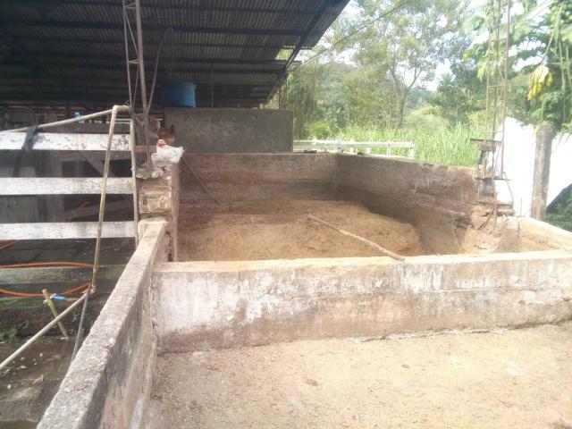 Linda fazenda em Cachoeiras de Macacu 20 alqueires oportunidade!!!! - Foto 17