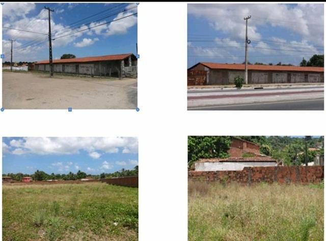 Terreno rural /genipabu /caucaia - ce - Foto 2