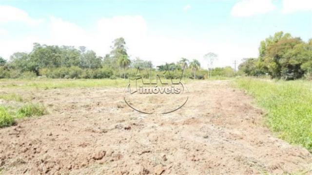 Terreno à venda em Costa do ipiranga, Gravataí cod:1013 - Foto 19
