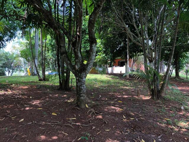 Chácara no km 18 Porto Acre - Foto 14