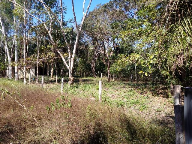 Rancho beira do rio cuiaba - Foto 13