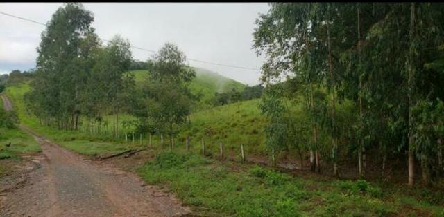 Fazenda em Campo Magro 60 Alqueires - Foto 3