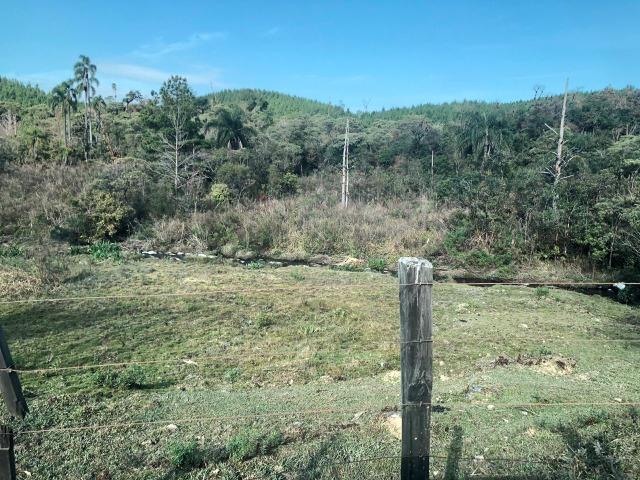 Chácara em São José dos pinhais bairro Castelhanos - Foto 10