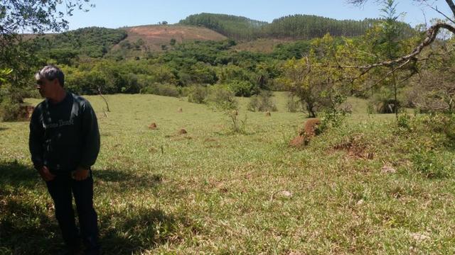 91C/Bela fazendinha de 13 ha em ótimo local e com tudo que a gente quer - Foto 20