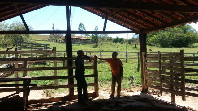 91C/Bela fazendinha de 13 ha em ótimo local e com tudo que a gente quer - Foto 2