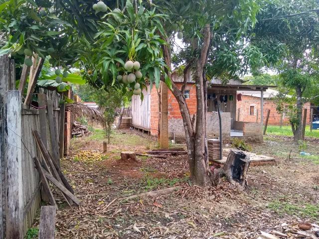 Casa com terreno grande - Foto 10