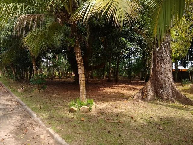 Vendo terreno com galpão na Mario Covas - Foto 9