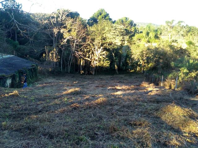 Chácara - Foto 4