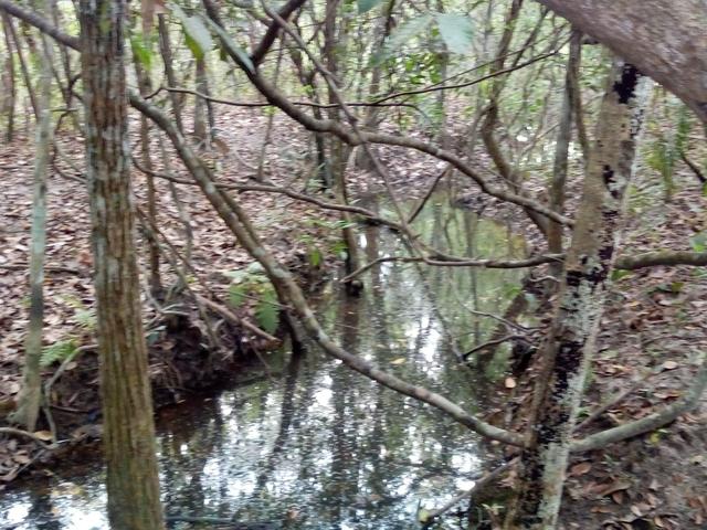 Vende-se uma chácara em Poconé, 50 hectares - Foto 11