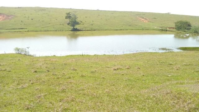 Vendo belíssima fazenda em são vicente 330 alqueires - Foto 12